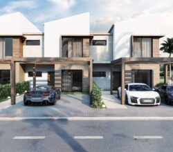 Town Houses in Larimar City