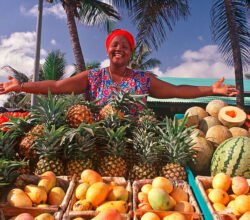 Auch in der Agrarwirtschaft gibt es Rekorde